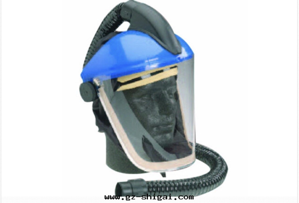 半盔式头(tóu)罩(zhào)