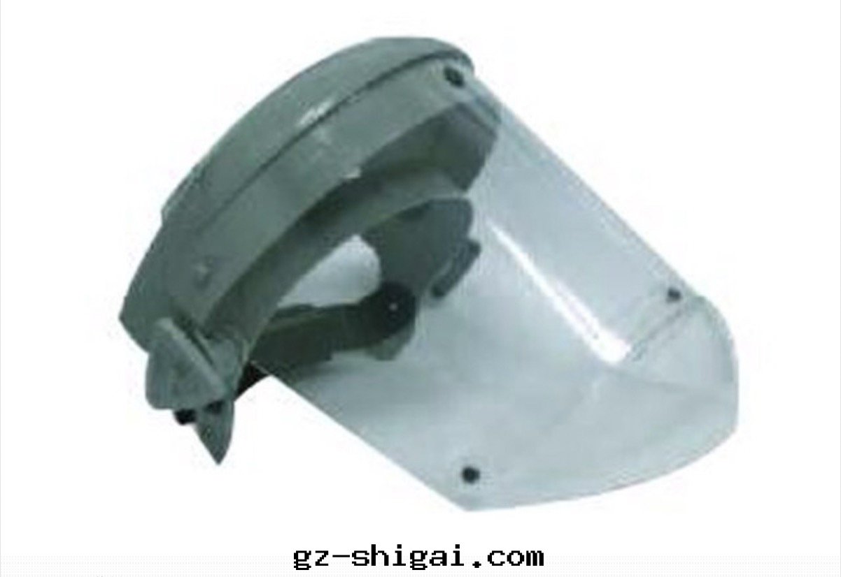 帕洛瑪全(quán)面(miàn)防護面(miàn)罩(zhào)